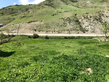 yeni əmlak sumqayıt: 30 sot, Kənd təsərrüfatı, Mülkiyyətçi, Kupça (Çıxarış) — 14