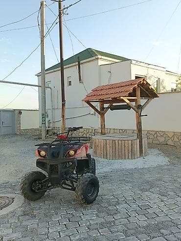 motor atv: ATV/kvadrotsikl – benzinli, ön və arxa yük rəfləri ilə - Güclü ofroud — 8