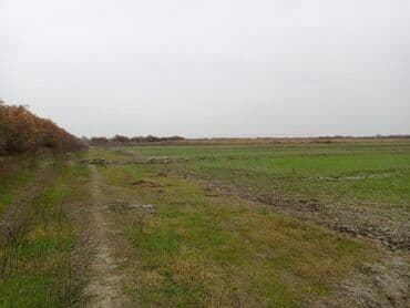 sarayda torpaq satışı: 750 sot, Kənd təsərrüfatı, Kupça (Çıxarış) — 2