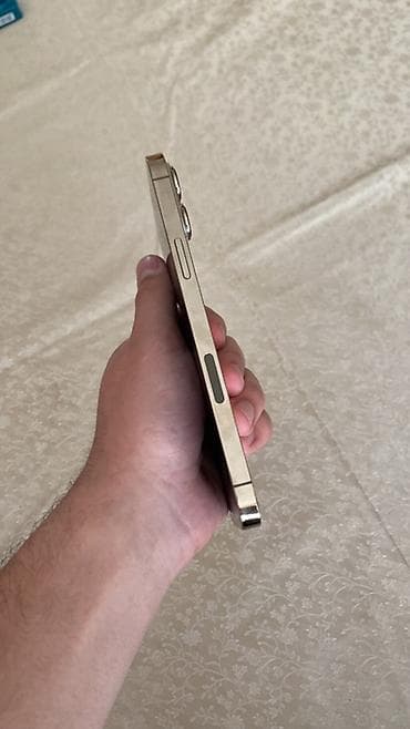 ip 9 plus: IPhone 13 Pro Max, 128 GB, Qızılı — 4