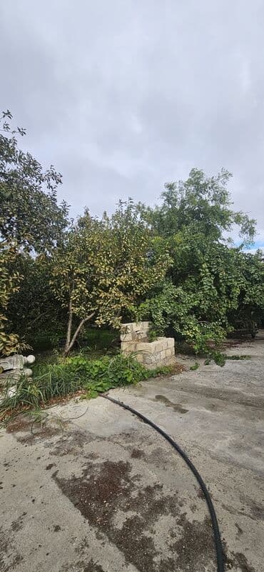 аренда продажа земельных участков: 48 sot, Kənd təsərrüfatı, Kupça (Çıxarış) — 30