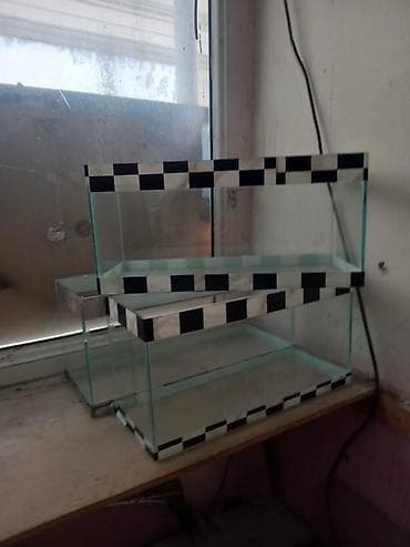 akvarumlar: Akvaryum şüşə qutular - Material: şəffaf şüşə, silikonla — 3