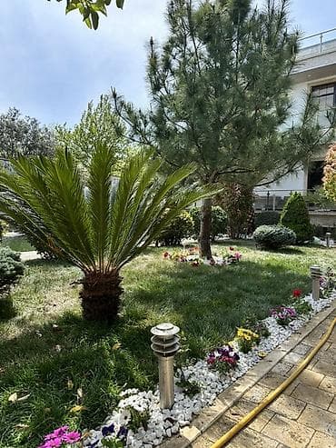 iç dizayn ev: Peşəkar landşaft dizaynı və yaşıllaşdırma xidməti - Həyət və bağların — 2