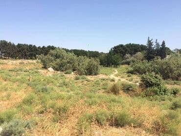 binə qəsəbəsi: 45 sot, Tikinti, Makler, Kupça (Çıxarış) — 9