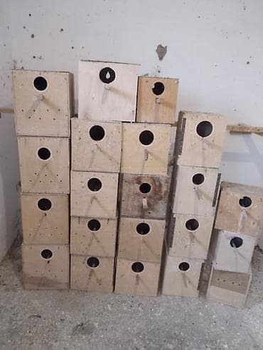 su qabi satisi: 21eded papuqay yuvası hamısı birlikdə 50 manat. ünvan mastaga — 1