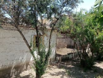 bakıxanov qəsəbəsi: 9 sot, Kupça (Çıxarış) — 8