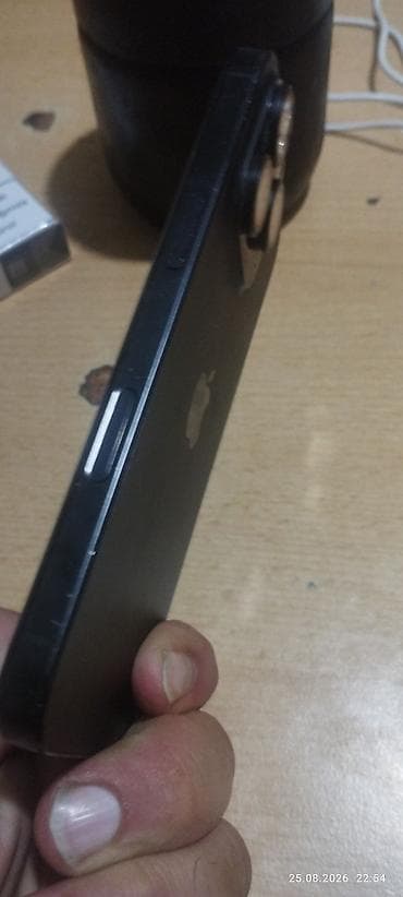 17 pro max planshet: IPhone 16 Pro, Черный, Face ID — 3
