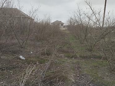 2 otaqlı mənzil kirayə: Kənd təsərrüfatı — 1