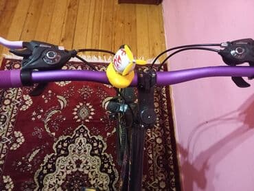 fizika 8 sinif pdf: İşlənmiş Dağ velosipedi Strim, 26", sürətlərin sayı: 7, Ünvandan götürmə — 3