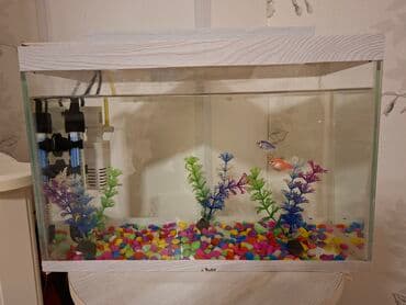 hava matoru: Akvaryum komplekti - Şüşə akvaryum, üst və alt dekorativ ağ — 5