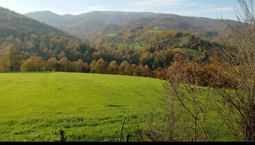 34 sot, Kupça (Çıxarış)