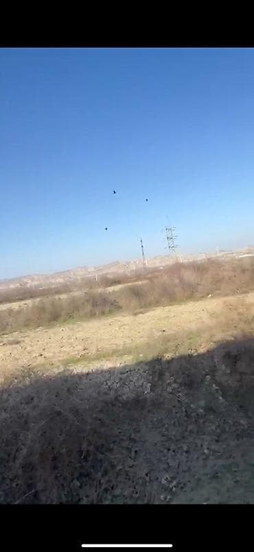 xacmazda bina evleri: 12 sot, Kənd təsərrüfatı, Kupça (Çıxarış) — 4