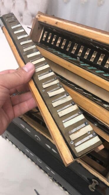 Akkordeonlar: Akustik Akkordeon — 7