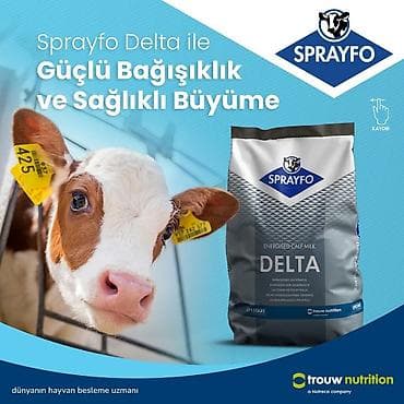 it satisi: Sprayfo Delta buzov süd əvəzedicisi buzovların sağlam inkişafı və — 2