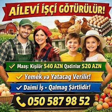 iş elanları elektrik: Ailəli işçi axtarılır – kənd təsərrüfatı/ferma işi Tek de ola bıler — 1