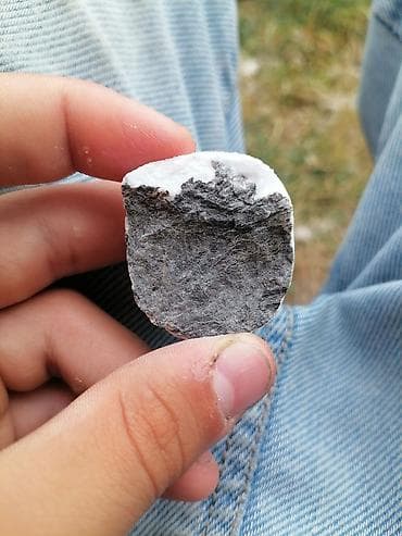 bildircin satisi tap az: Təbii mineral nümunəsi – qara-boz matriks üzərində ağ, kristallı kvars — 1