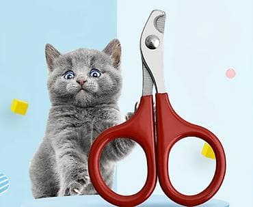 аксесуары для животных: Məhsul: Pişiklər üçün əşyalar dəsti:Hamsı daxil 65 azn.Tek tekde — 4