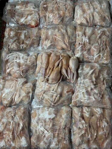 əl ilə su quyusunun qazılması: Bildircin eti — 3