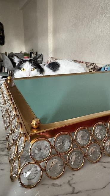 sehirli güzgü: Dekorativ güzgülü fənər/tray - Material: metal karkas (qızılı rəng) — 5