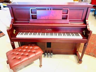 malık zeynalov: Royal ve Pianolar. Royal Musiqi Aletleri salonu sizlere genish — 1