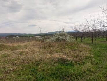 sumqayit kirayə: Kənd təsərrüfatı — 23