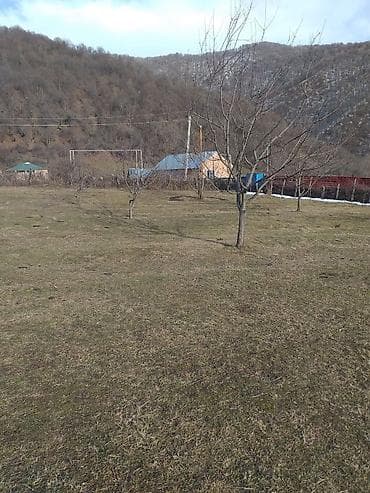 qalada xasaxunada ev torpaq: Tikinti — 9