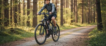 Elektriklə gücləndirilmiş Daunis (DANIS) dağ velosipedi - Alüminium