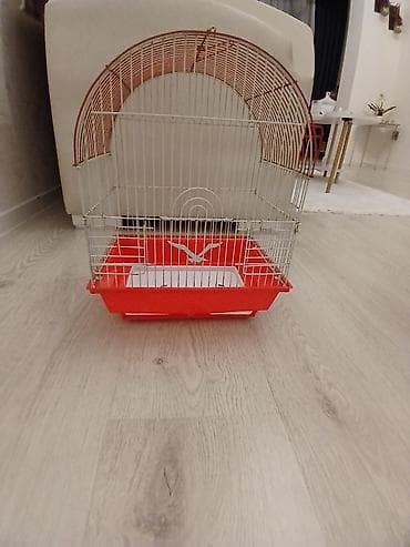 danisan qus: Quş qəfəsi – qövs formalı dam və plastik altlıq.20 azne alinib.10 — 2