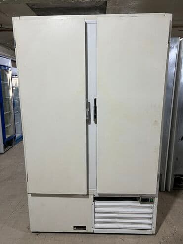 İkiqapılı restoran və kafeyə geniş əla soyuducu