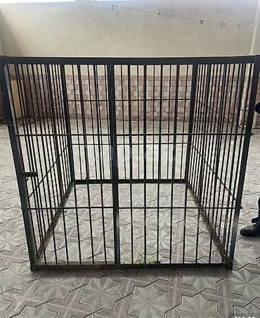heyvan bazari: Qefes — 1