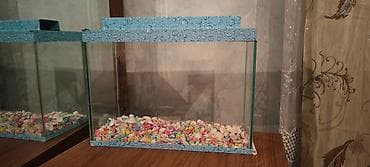 Şəkillər, tablolar: Akvarium,aldiqdan sonra 2 ay islenib,evde cox vaxt olmadigima gore — 1