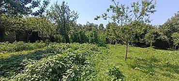 15 соток, Для сельского хозяйства, Собственник — 6