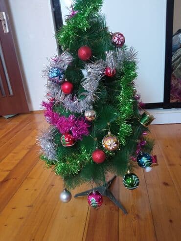 avokado ağacı: Yolkanın hundurluyu. 95 sm üstünde iqruşkalarla birlikdə bele — 3