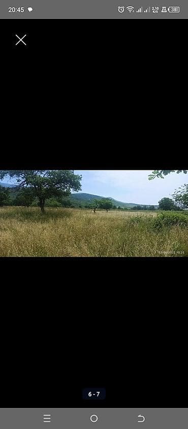 kurdaxanida heyet evleri: Kənd təsərrüfatı — 2