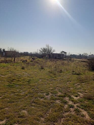 снять дом в баку на берегу моря: 6 соток, Купчая — 1