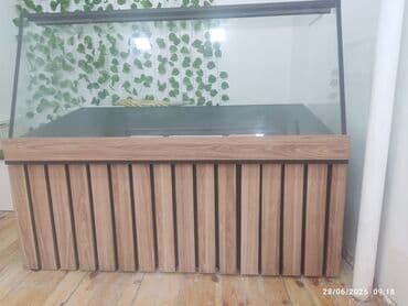 şüşəli vitrinlər: Endirim ‼️ Quru vitrin – 250 AZN Şüşə vitrin, üstü maili (çətir tip) — 1