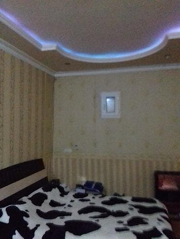 kamp evi: 55 kv. m, 2 otaqlı, Qaz, İşıq, Su — 2