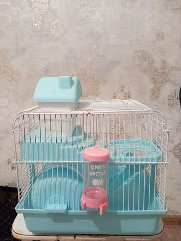 домик для кошек: Kiçik heyvanlar üçün qəfəs – xəz dərili gəmiricilər (xamster, siçan və — 1