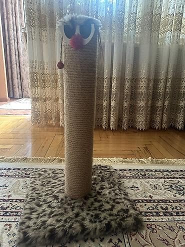toy pudrl: Pisik ucun cızma dirəyi satılır — 1