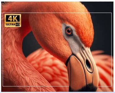 yeni nomreler: Yeni Portativ Proyektor Magcubic — 10