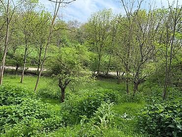 qusarda yer satilir: 10 sot, Tikinti, Mülkiyyətçi, Kupça (Çıxarış) — 5