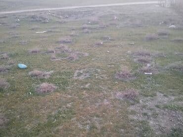 Həyət evləri və villalar: 6 sot, Tikinti, Mülkiyyətçi, Bələdiyyə — 1