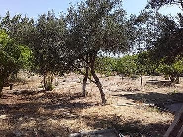 Гаражи: Баку, Вишневка, 63 м², 2 комнаты, Без бассейна — 8