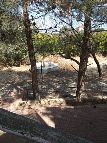 купить дачу в пиршагах: Баку, Пос. Паршаги, 200 м², 6 комнат, С бассейном, Газ, Электричество, Канализация — 3