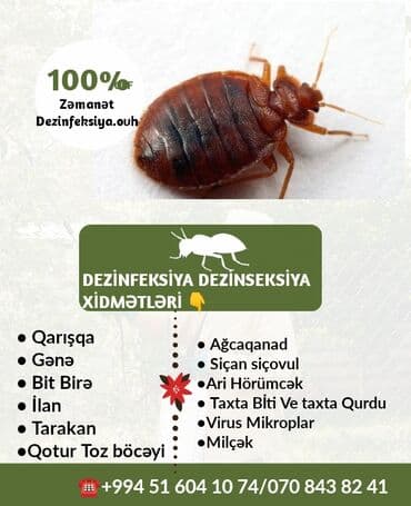 en yaxsi xalca yuma hansi: Dezinfeksiya, dezinseksiya | Taxtabiti, Birələr, Tarakanlar | Nəqliyyat, Ofislər, Mənzillər — 4