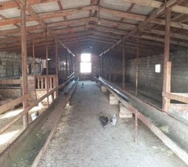 Fermaya isci axtarilir
Fermanin her seraiti var
Qaz 
Su 
Isiq
Wi-fi