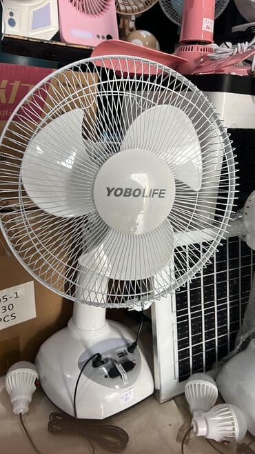 tavan üçün ventilyator: Ventilyator Yeni, Tavan üçün, Pərli, Kredit var, Ünvandan götürmə, Pulsuz çatdırılma, Rayonlara çatdırılma — 3