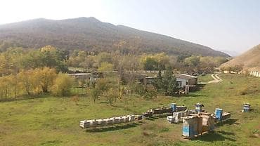 samaxi villa kiraye: 580 sot, Kənd təsərrüfatı, Makler, Kupça (Çıxarış) — 9