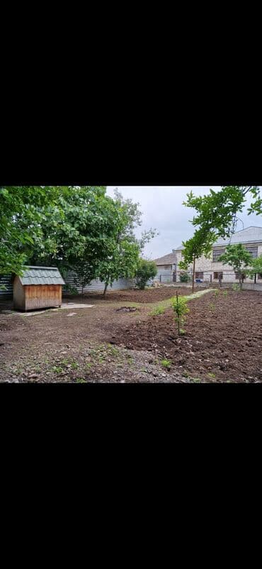 saray ev: 4 otaqlı, 200 kv. m, Yeni təmirli — 30