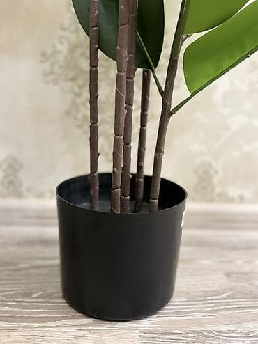 guller: Süni dekorativ kauçuk ağacı (Ficus elastica) – qapalı məkanlar üçün — 4